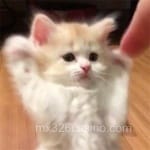 Avatar de Ana Sofía Escalante